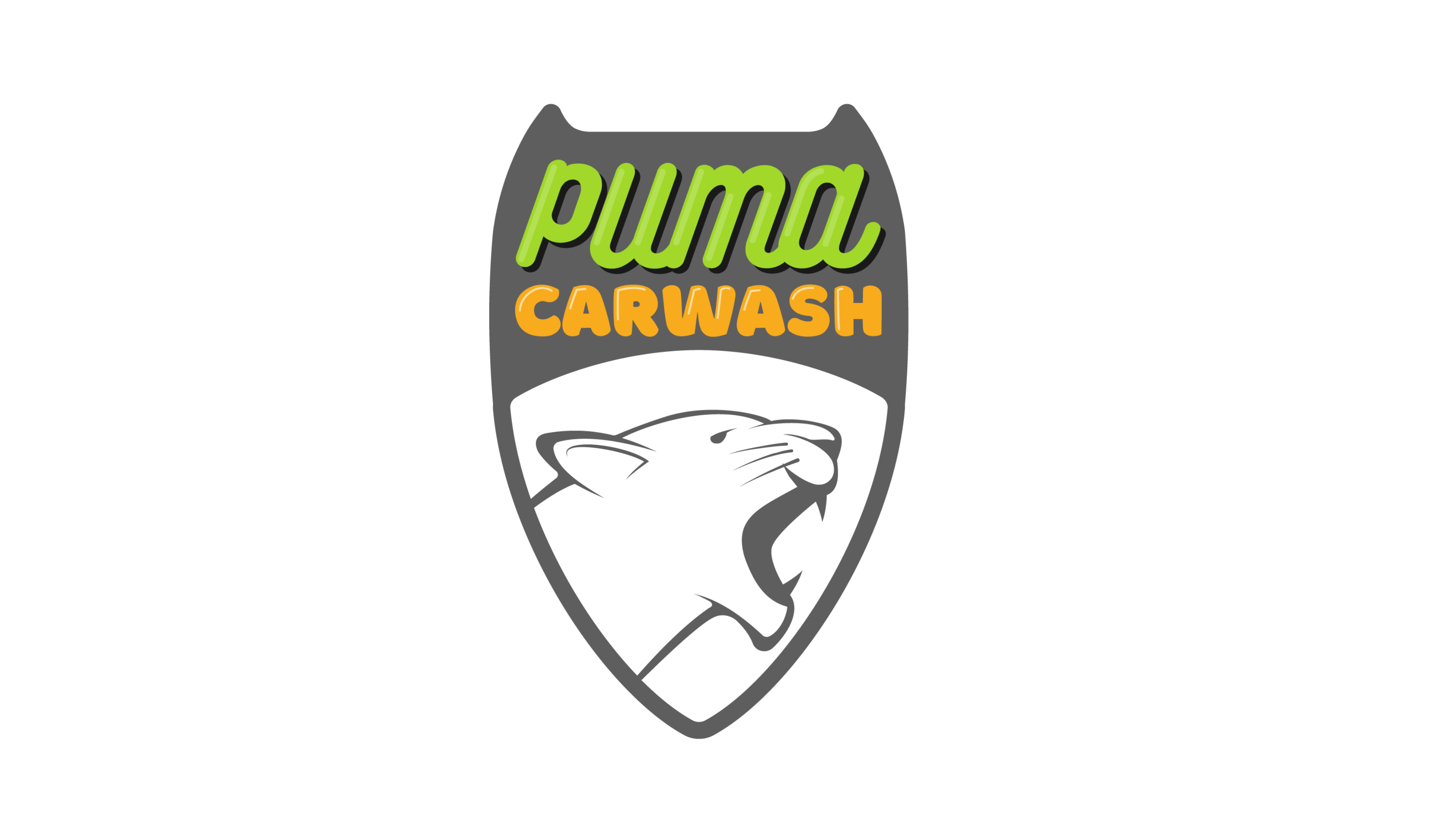 Puma Carwsh
